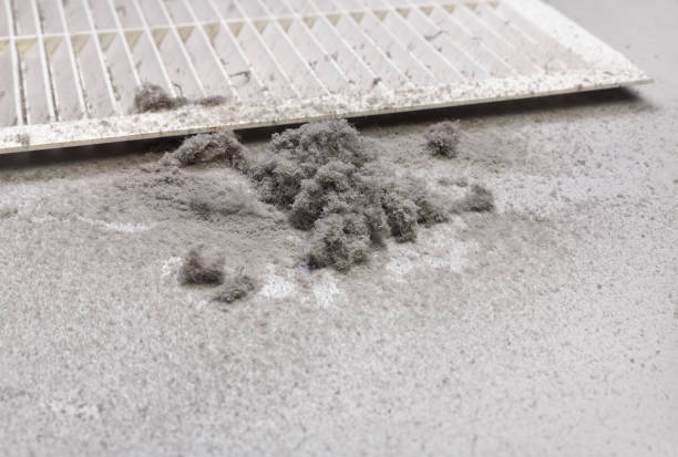 Best Best Air Duct Cleaning Near Me  in Mazomanie, WI